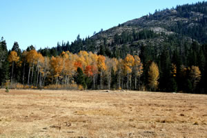 Bell Meadow in EarlyAutumn